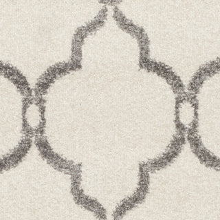 Safavieh Amherst AMT414K Ivory/Grey Area Rug