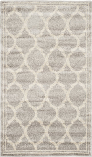 Safavieh Amherst AMT415B Light Grey/Ivory Area Rug