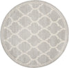 Safavieh Amherst AMT415B Light Grey/Ivory Area Rug