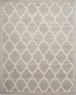 Safavieh Amherst AMT415B Light Grey/Ivory Area Rug