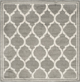 Safavieh Amherst AMT415R Dark Grey/Beige Area Rug