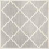 Safavieh Amherst AMT421B Light Grey/Beige Area Rug