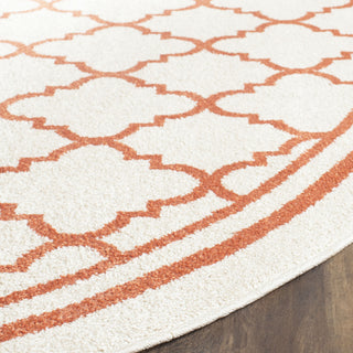 Safavieh Amherst AMT422F Beige/Orange Area Rug