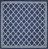 Safavieh Amherst AMT422P Navy/Beige Area Rug