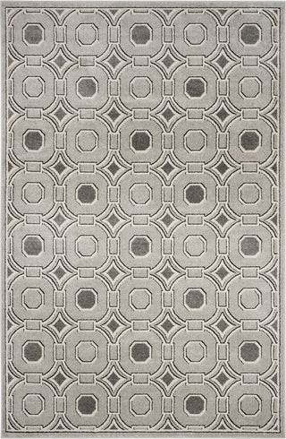 Safavieh Amherst AMT431B Light Grey/Ivory Area Rug