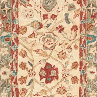 Safavieh Anatolia An511 Beige/Green Area Rug 