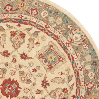 Safavieh Anatolia An511 Beige/Green Area Rug 