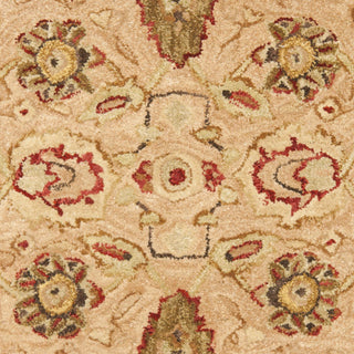 Safavieh Anatolia An512 Beige/Beige Area Rug 