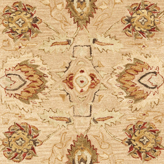 Safavieh Anatolia An512 Beige/Beige Area Rug 