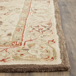 Safavieh Anatolia An512 Beige/Beige Area Rug Detail Feature