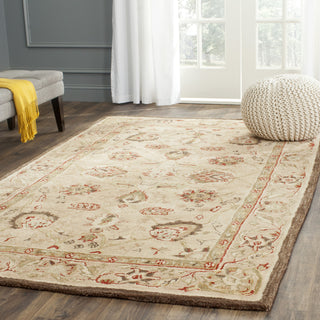 Safavieh Anatolia An512 Beige/Beige Area Rug Room Scene