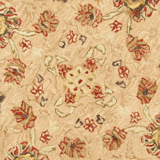 Safavieh Anatolia An512 Beige/Beige Area Rug 