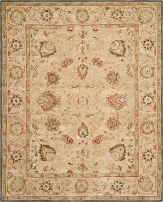 Safavieh Anatolia An512 Beige/Beige Area Rug Main