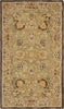 Safavieh Anatolia An512 Sage/Beige Area Rug main image
