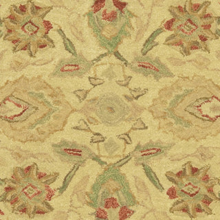 Safavieh Anatolia An512 Beige/Rust Area Rug 