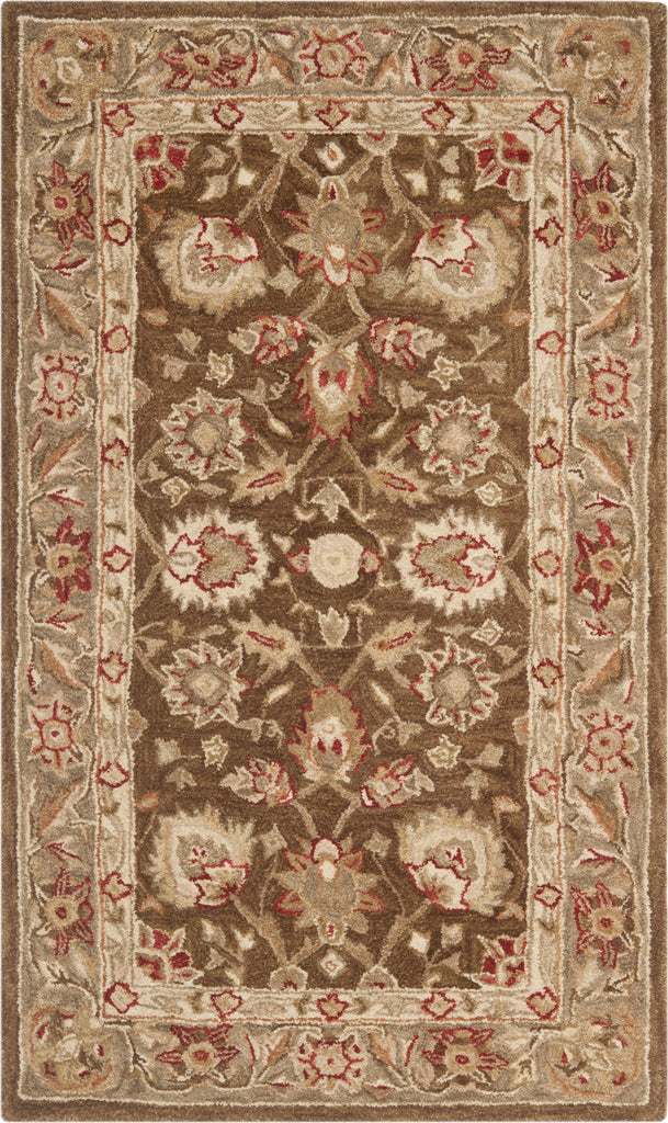 Safavieh Anatolia An512 Brown/Green Area Rug main image