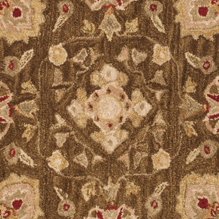 Safavieh Anatolia An512 Brown/Green Area Rug 