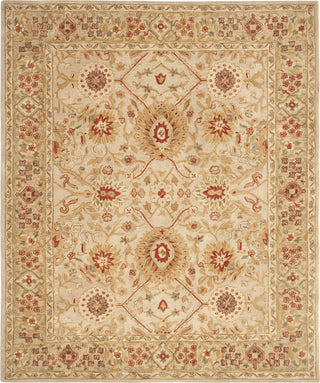 Safavieh Anatolia An516 Grey Beige/Sage Area Rug Main