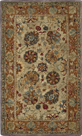 Safavieh Anatolia An521 Green/Gold Area Rug main image