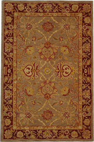 Safavieh Anatolia An529 Grey/Red Area Rug Main