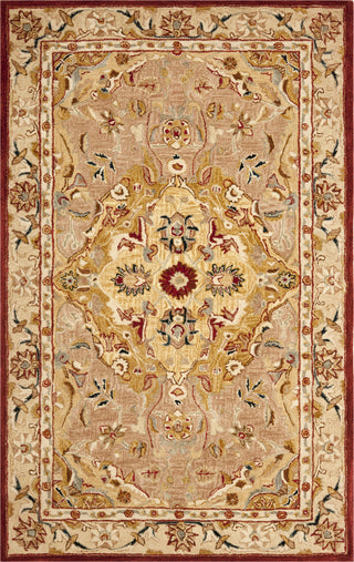 Safavieh Anatolia An534 Gold/Ivory Area Rug Main