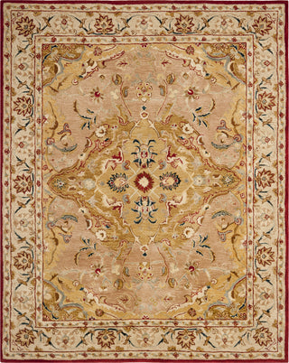 Safavieh Anatolia An534 Gold/Ivory Area Rug Main