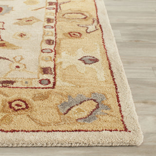 Safavieh Anatolia An543 Ivory/Gold Area Rug Detail