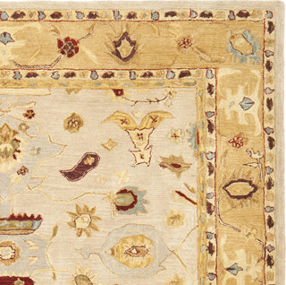 Safavieh Anatolia An543 Ivory/Gold Area Rug 