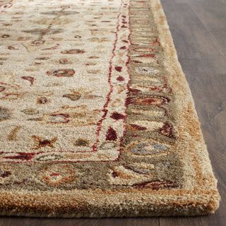 Safavieh Anatolia An547 Ivory Area Rug Detail