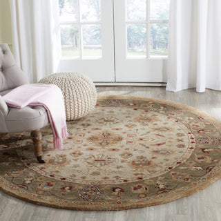 Safavieh Anatolia An547 Ivory Area Rug Room Scene Feature