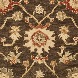 Safavieh Anatolia An554 Olive/Rust Area Rug 