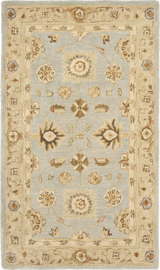 Safavieh Anatolia An556 Light Blue/Sage Area Rug main image