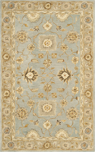 Safavieh Anatolia An556 Light Blue/Sage Area Rug Main