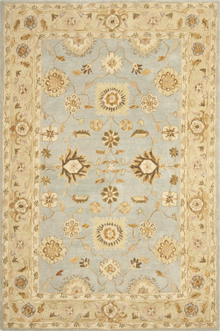 Safavieh Anatolia An556 Light Blue/Sage Area Rug Main