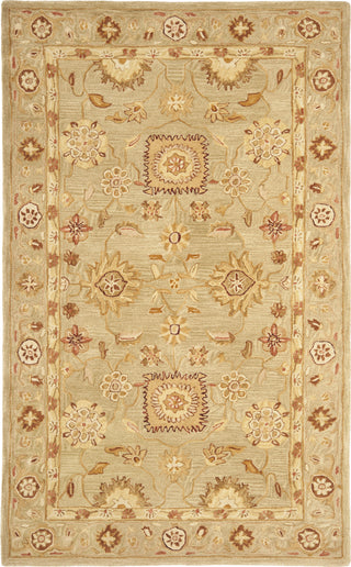 Safavieh Anatolia An556 Sage/Sage Area Rug Main