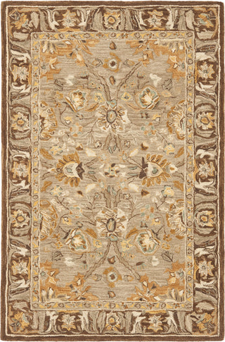 Safavieh Anatolia An558 Dark Grey/Brown Area Rug main image