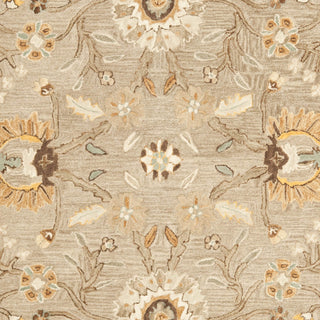 Safavieh Anatolia An558 Dark Grey/Brown Area Rug 