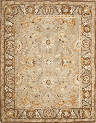 Safavieh Anatolia An558 Dark Grey/Brown Area Rug Main