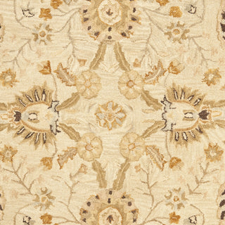 Safavieh Anatolia An558 Silver/Light Brown Area Rug 