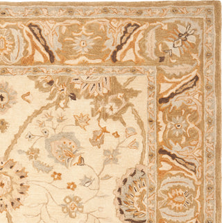 Safavieh Anatolia An558 Silver/Light Brown Area Rug 