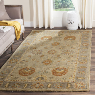 Safavieh Anatolia An561 Taupe/Grey Area Rug Room Scene Feature