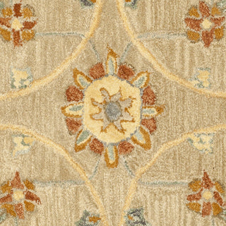 Safavieh Anatolia An561 Taupe/Grey Area Rug 