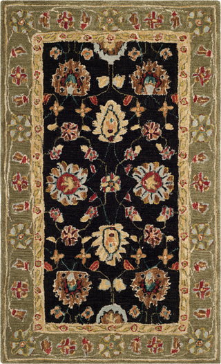 Safavieh Anatolia An561 Black/Green Area Rug main image