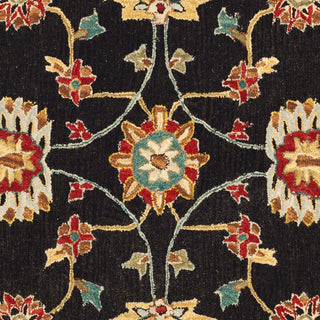 Safavieh Anatolia An561 Black/Green Area Rug 