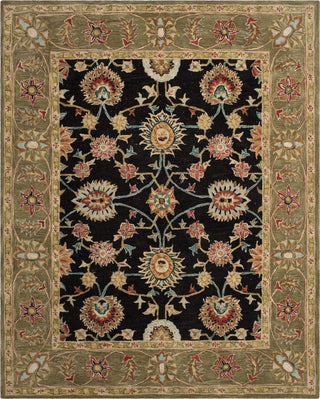 Safavieh Anatolia An561 Black/Green Area Rug Main