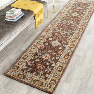 Safavieh Anatolia An562 Brown/Gold Area Rug Room Scene Feature