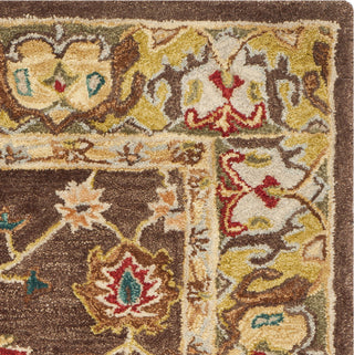 Safavieh Anatolia An562 Brown/Gold Area Rug 