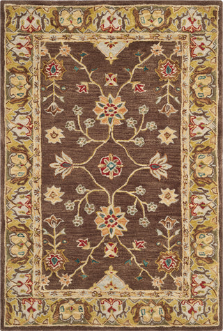 Safavieh Anatolia An562 Brown/Gold Area Rug Main