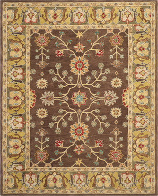 Safavieh Anatolia An562 Brown/Gold Area Rug Main