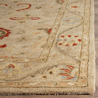 Safavieh Anatolia An570 Beige/Beige Area Rug Detail